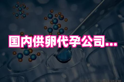 海口助孕网站 1