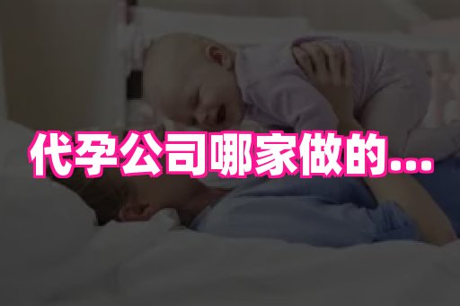 海口助孕网站 2