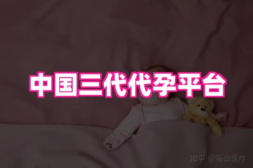海口助孕网站 4